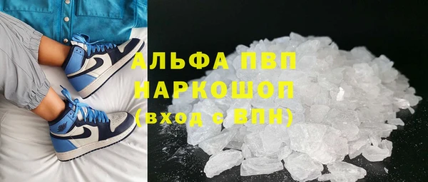 ешки Белокуриха